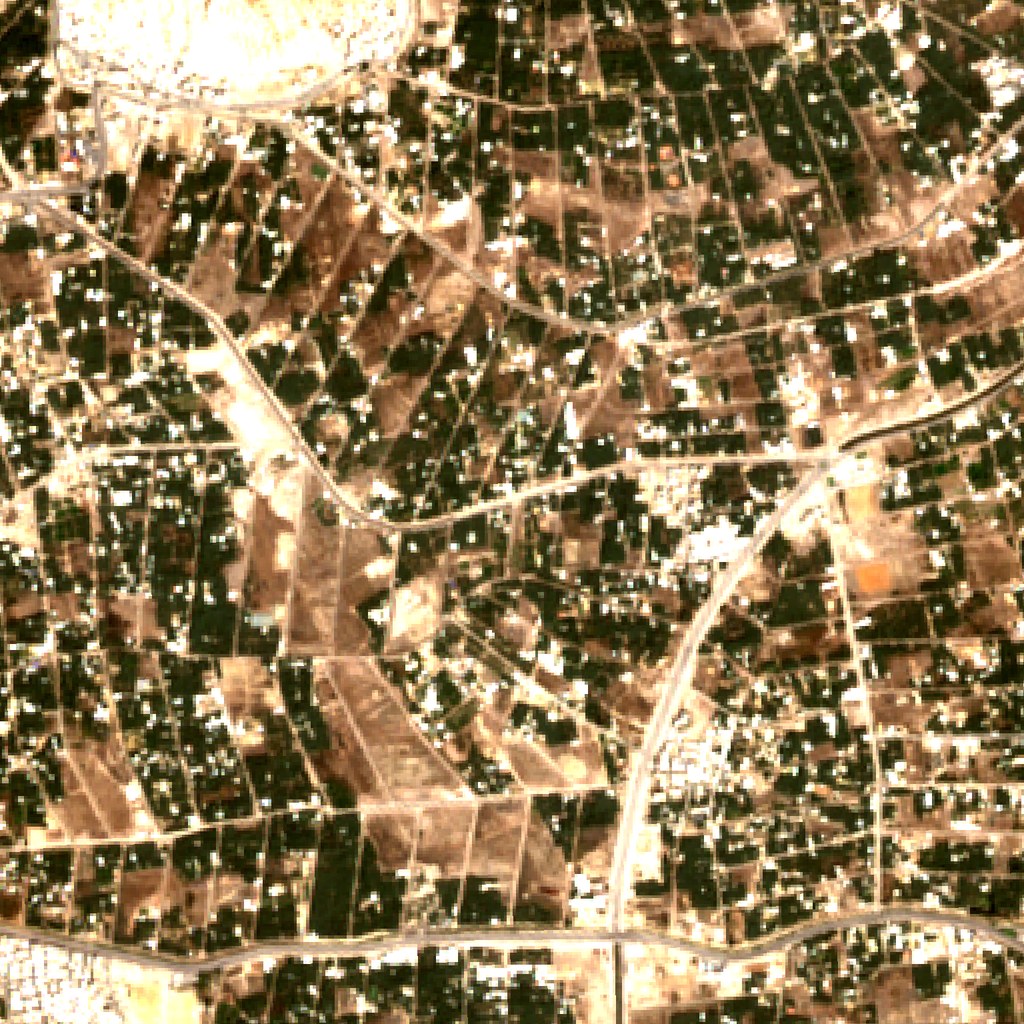 Al-Ahsa oasis, Eastern Province