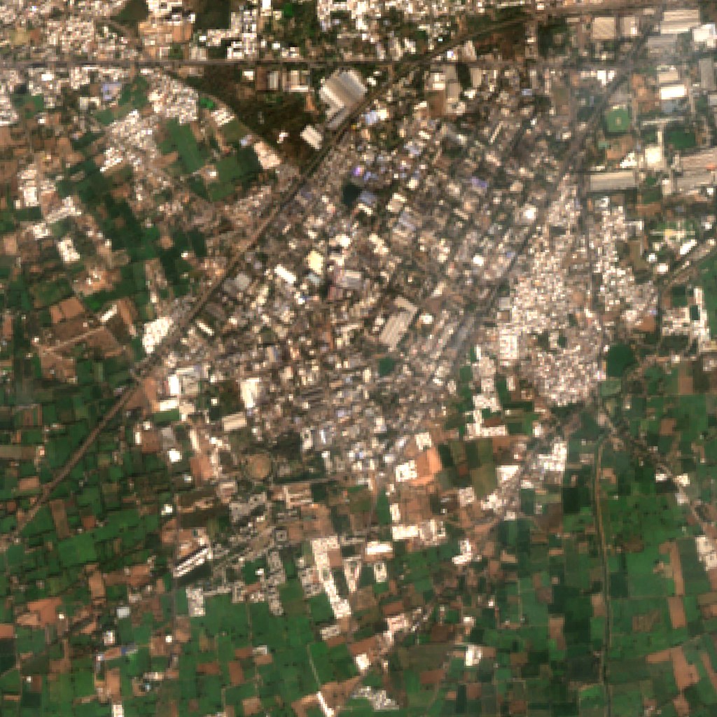 Anand, Gujarat — Sentinel-2 L2A, 2025-01-31